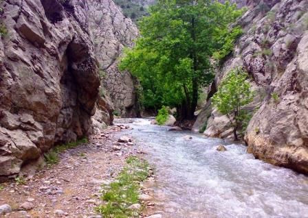شهرستان کلات مشهد
